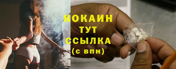тгк Алексин
