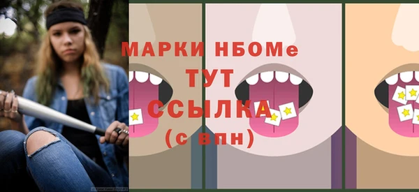 шишки Аркадак