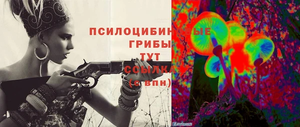 дмт Алзамай