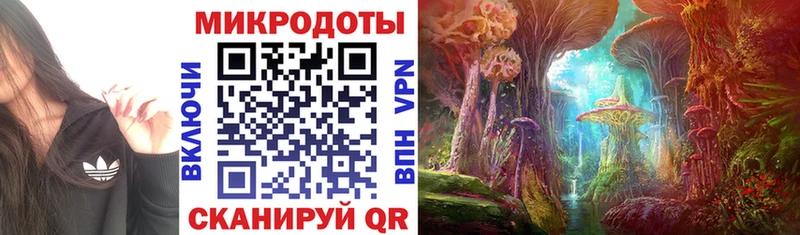 Галлюциногенные грибы мицелий  где найти   Бикин 